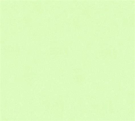 chanel green plain wallpaper|其他.